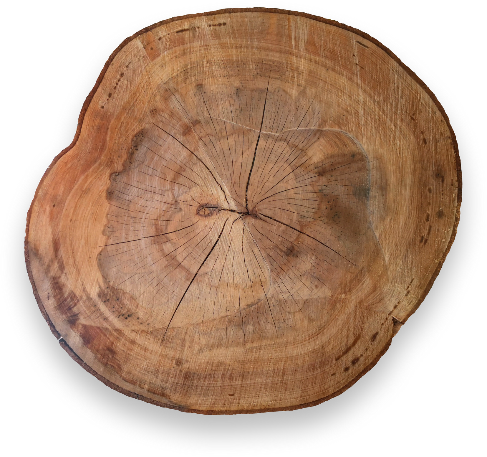Log as Wooden Board